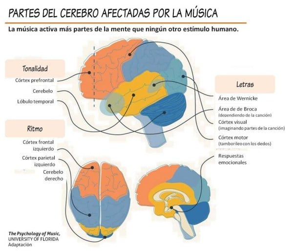 \"Cerebro-y-musica-1\"